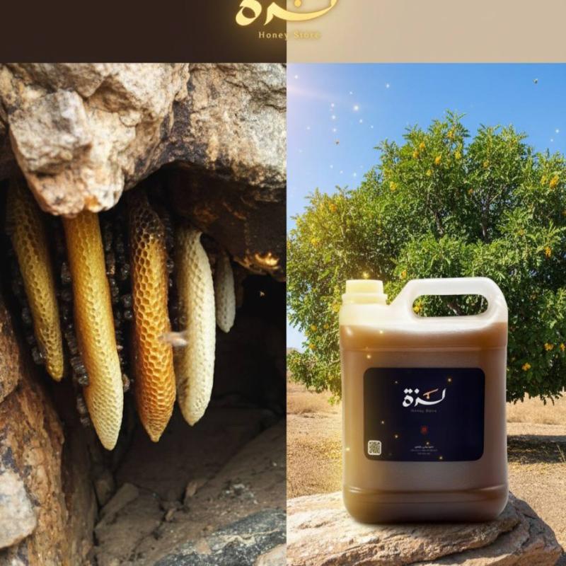 ما الفرق بين عسل الكهوف وعسل السدر اليمني؟ دليل شامل لتمييزهما